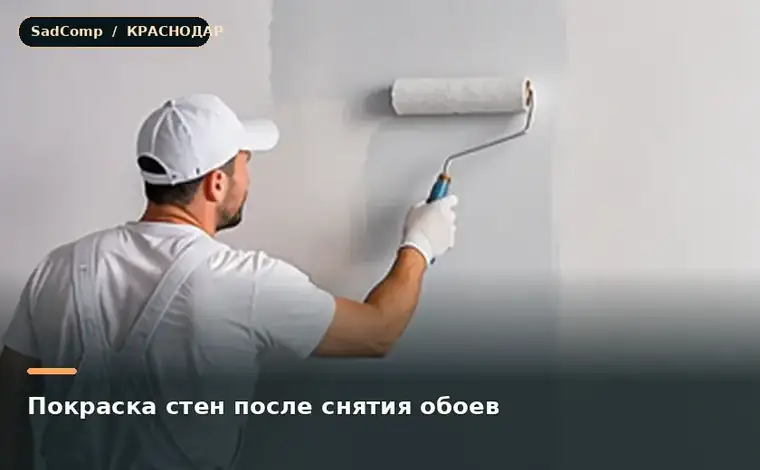 Тематическая визуализация ремонтной работы: Покраска стен после снятия обоев в Краснодаре